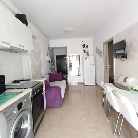 Apartment Gabriel Navodari